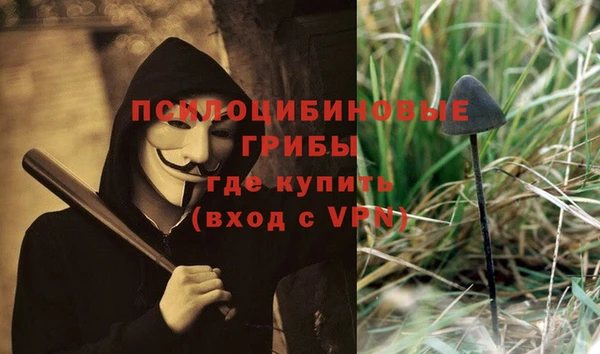 прущие крисы Козельск