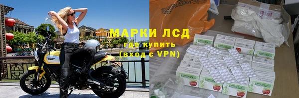 мяу мяу мука Кодинск